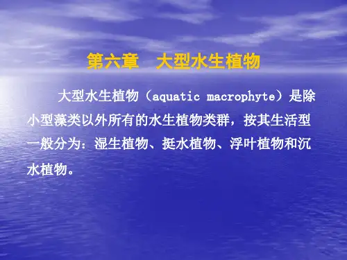 水生生物学