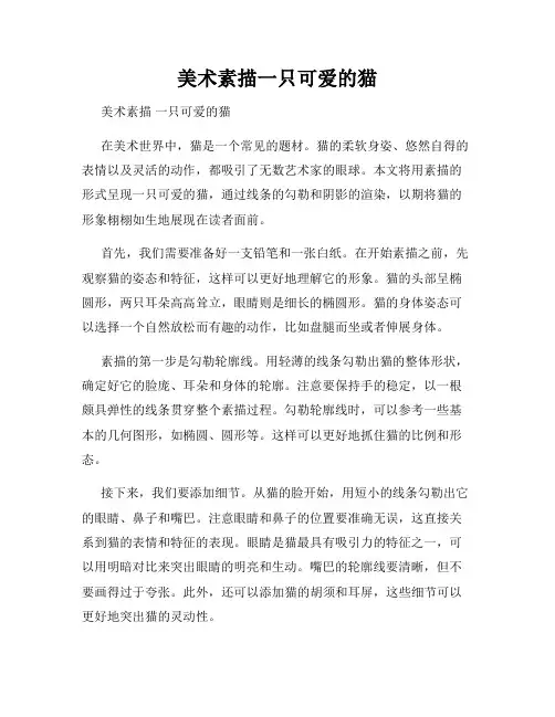 美术素描一只可爱的猫