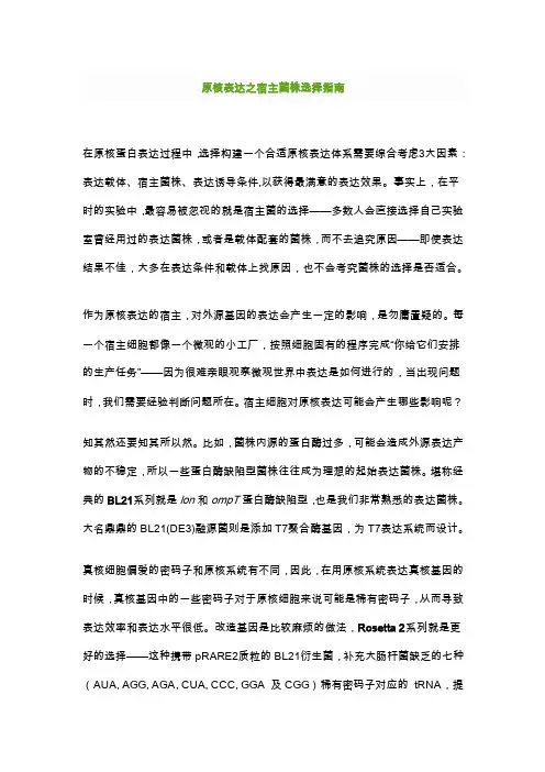 原核表达之宿主菌株选择指南