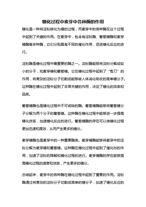 糖化过程中麦芽中各种酶的作用