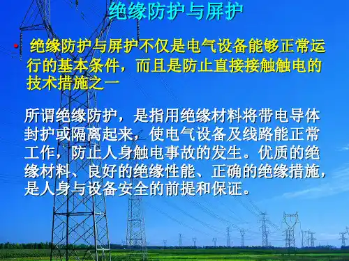 第三章防触电技术ppt课件