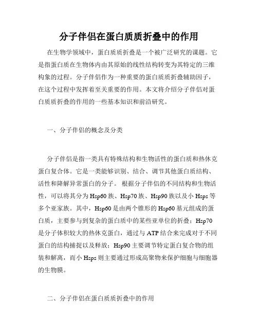 分子伴侣在蛋白质质折叠中的作用