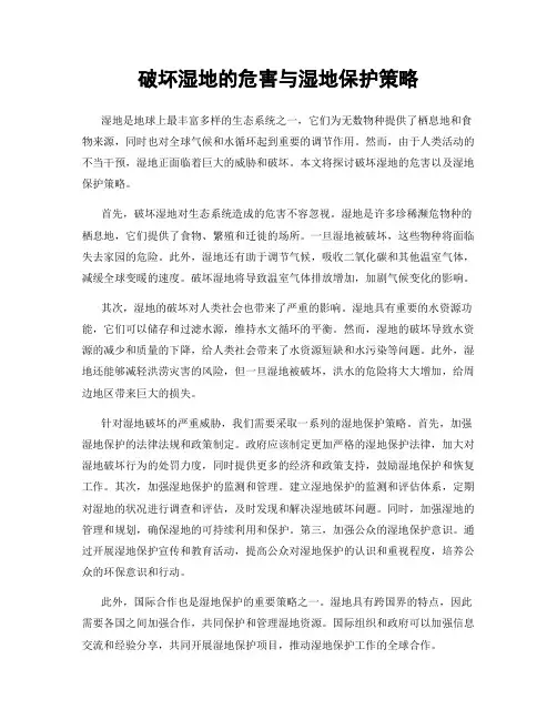 破坏湿地的危害与湿地保护策略