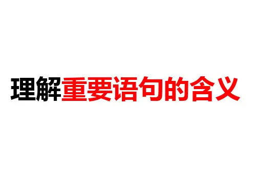 《理解文中重要句子含义》课件