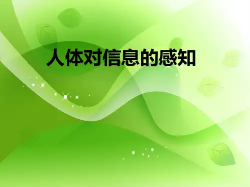 人体对信息的感知PPT教学课件