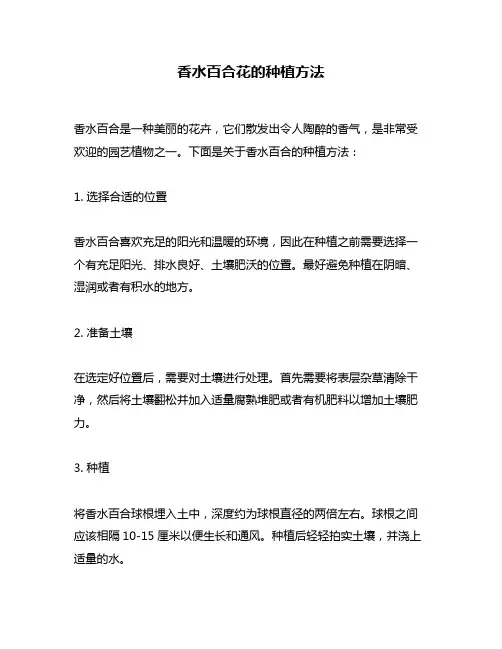 香水百合花的种植方法