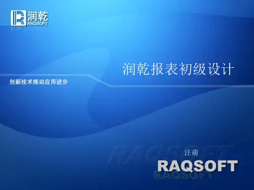润乾报表v40初级培训