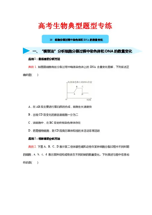 高考生物典型题型专练10---细胞分裂过程中染色体和DNA的数量变化 含答案