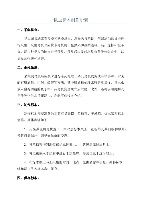 昆虫标本制作步骤