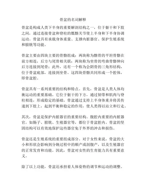 骨盆的名词解释