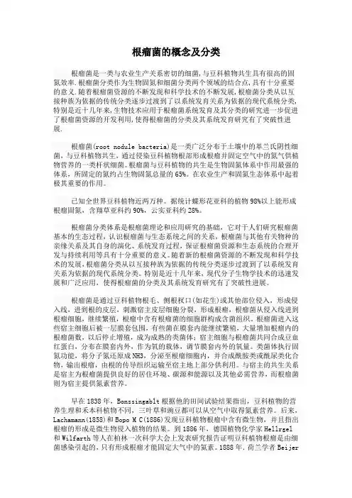 根瘤菌的概念及分类