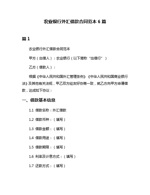 农业银行外汇借款合同范本6篇