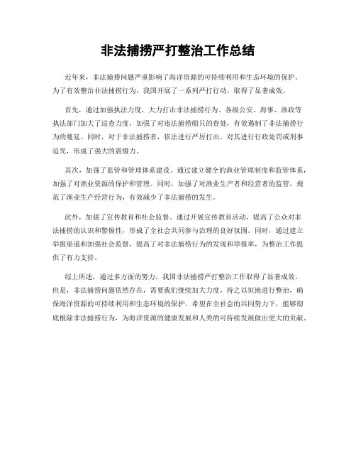 非法捕捞严打整治工作总结