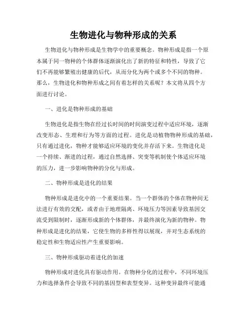 生物进化与物种形成的关系
