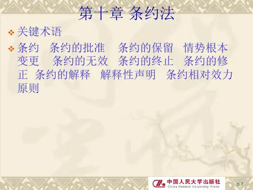 国际法第十章