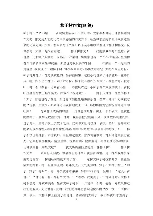 柿子树作文(15篇)