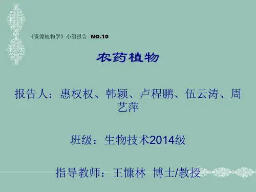 资源植物学PPT课件