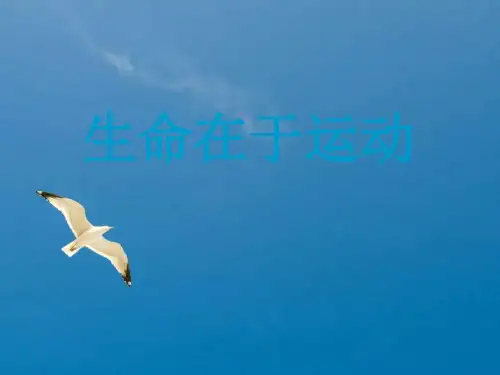 运动与健康生命在于运动ppt课件