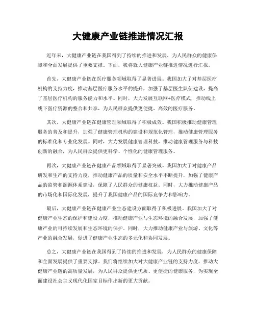 大健康产业链推进情况汇报