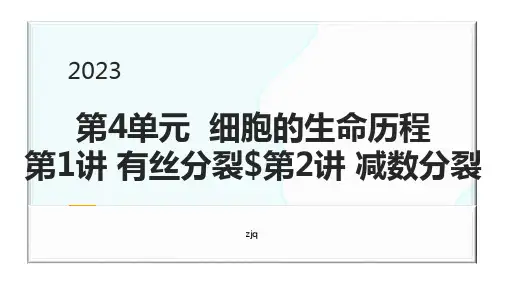 高三生物一轮复习课件有丝分裂与减数分裂