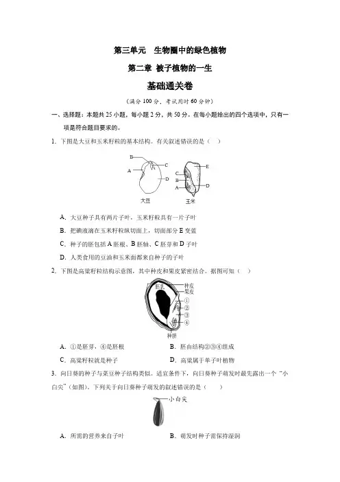 第二章 被子植物的一生【单元测试基础卷】(原卷版)