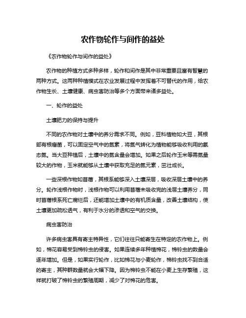 农作物轮作与间作的益处