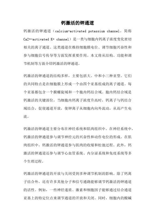 钙激活的钾通道