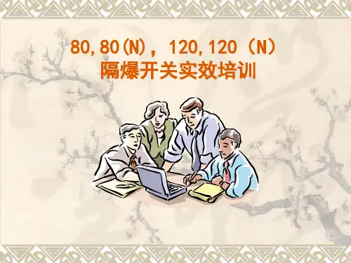 80N磁力启动器课件解析