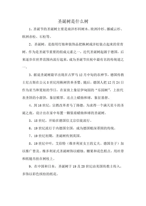 圣诞树是什么树