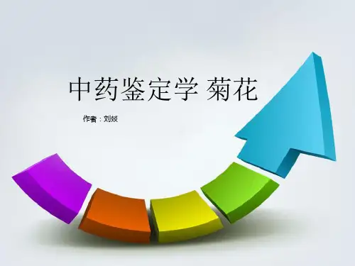 中药鉴定菊花