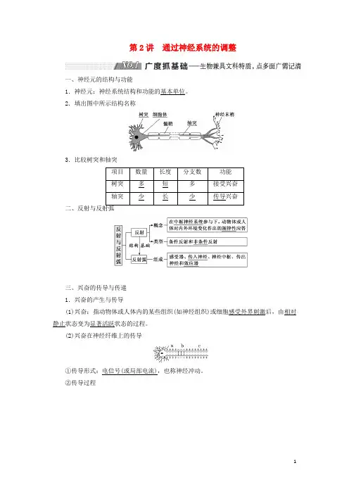 通用版2025版高考生物一轮复习第一单元第2讲通过神经系统的调节学案含解析必修3