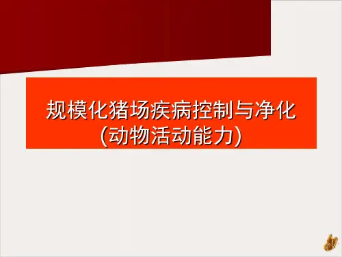 猪场疾病控制与净化措施PPT公开课(65页)