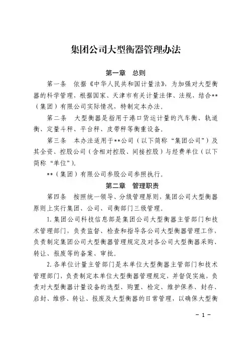 集团公司大型衡器管理办法