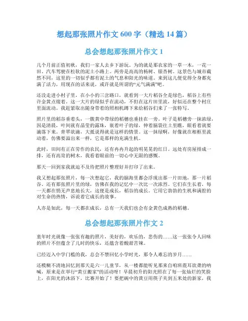 想起那张照片作文600字(精选14篇)