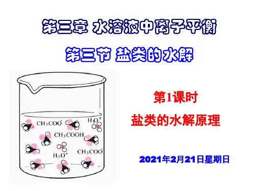 高二化学盐类的水解课件