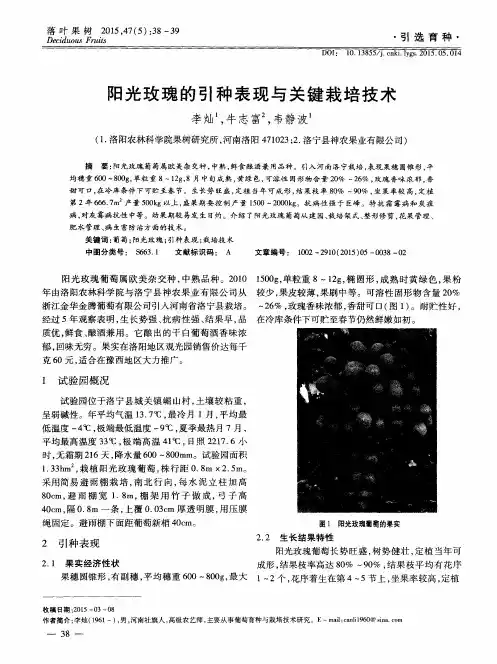 阳光玫瑰的引种表现与关键栽培技术