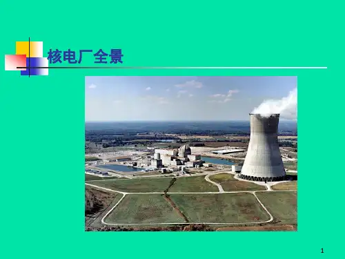 核电厂案例分析