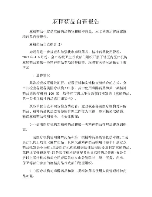 麻精药品自查报告