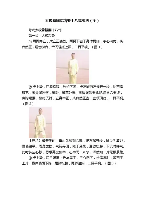 太极拳陈式精要十八式练法（全）