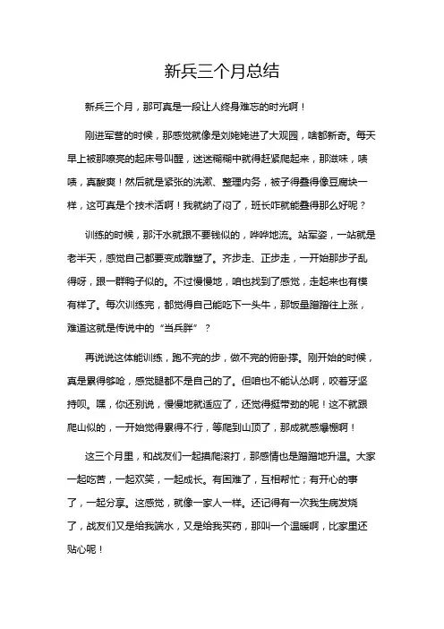 新兵三个月总结