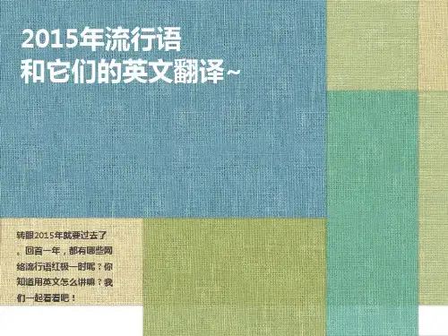 2015年流行语英文翻译