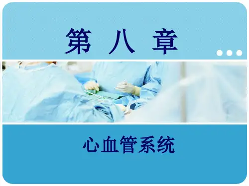 《人体解剖学》 (13)