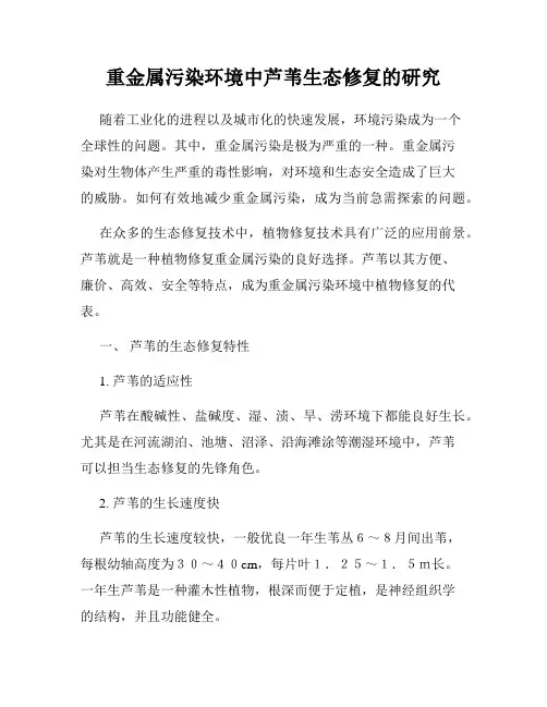 重金属污染环境中芦苇生态修复的研究