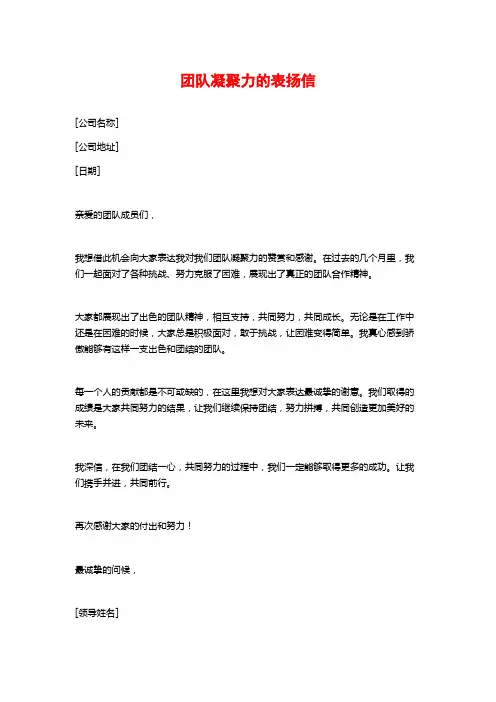 团队凝聚力的表扬信