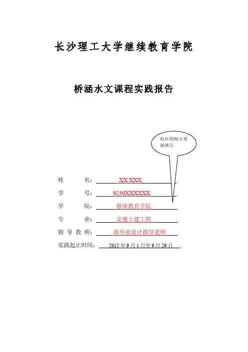桥涵水文实践报告(模版)