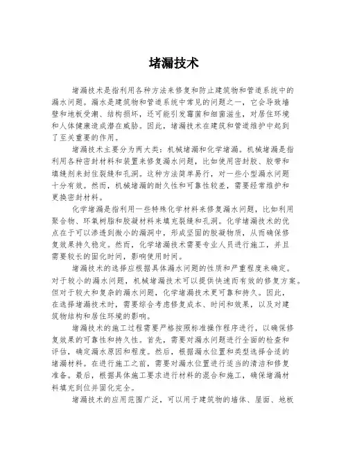 堵漏技术 