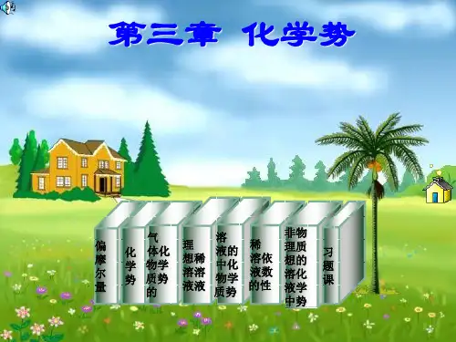物理化学(第四版)课件 印永嘉 等编 第3章 化学势