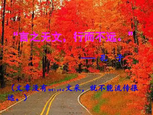 中考语文 作文指导《让你的作文文采飞扬》课件