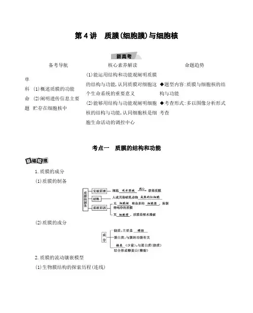 第4讲 质膜(细胞膜)与细胞核 2021版高考生物(新高考)一轮复习