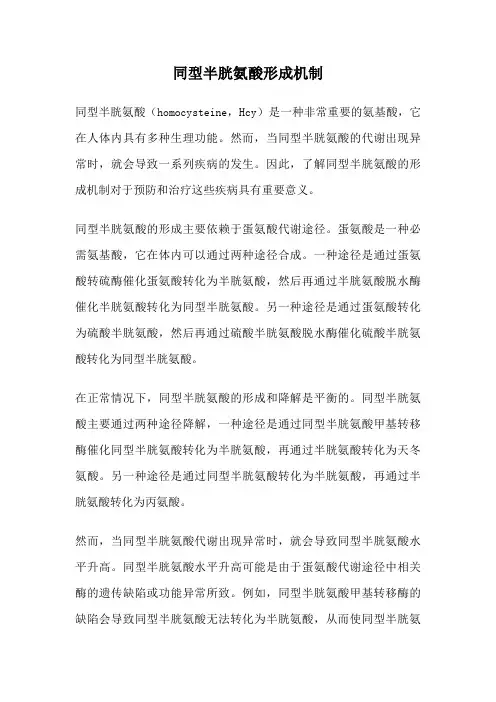 同型半胱氨酸形成机制